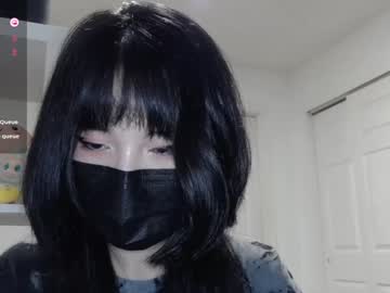 kitty krush